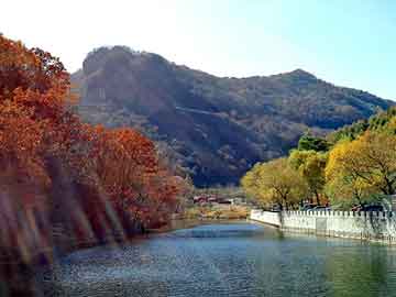 新澳天天开奖资料大全旅游团，末日危城